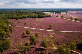 hei epe Heide in epe