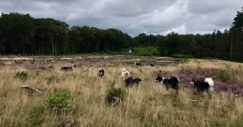 Het hurkske Erp wandelgebied FLVN